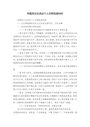 专题民主生活会个人对照检查材料.docx