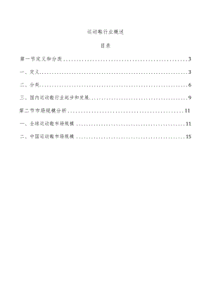 运动鞋行业概述.docx