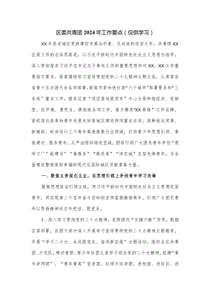 区委共青团2024年工作要点.docx