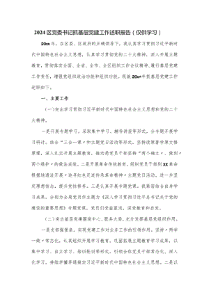 2024区党委书记抓基层党建工作述职报告.docx