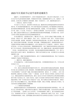 2023年区委副书记述学述职述廉报告.docx