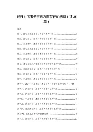 （35篇）践行为民服务宗旨方面存在的问题最新.docx