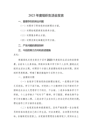 2篇支部2023-2024年度组织生活会四个方面个人对照检查发言2.docx