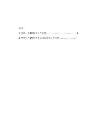 市统计局2023年度工作总结汇编（2篇）.docx