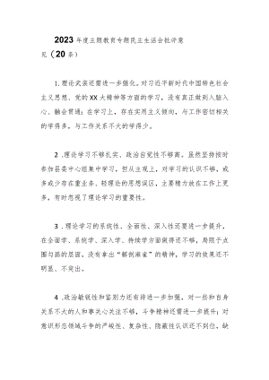 （20条）2023年度主题教育专题民主生活会批评意见.docx
