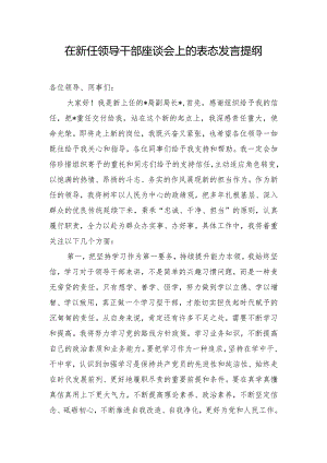 在新任领导干部座谈会上的表态发言提纲.docx