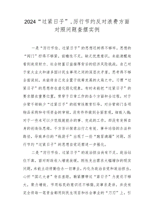 2024“过紧日子”厉行节约反对浪费方面对照问题查摆实例+问题清单.docx