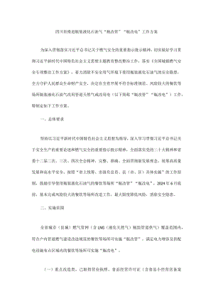 四川省推进瓶装液化石油气“瓶改管”“瓶改电”工作方案.docx