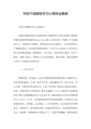 年轻干部跟班学习心得体会集锦.docx
