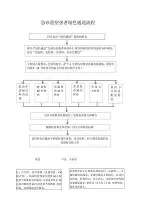 急诊重症患者绿色通道流程.docx