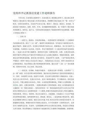 党组织书记抓基层党建工作述职报告.docx
