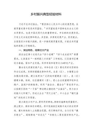 乡村振兴典型经验材料.docx