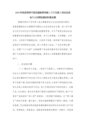 2024年党员领导干部主题教育专题（六个方面）民主生活会个人对照检查材料集合篇.docx
