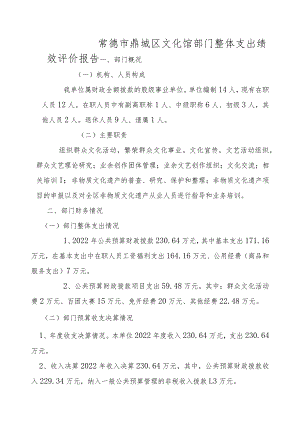 常德市鼎城区文化馆部门整体支出绩效评价报告.docx