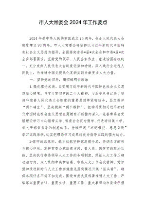 市人大常委会2024年工作要点.docx
