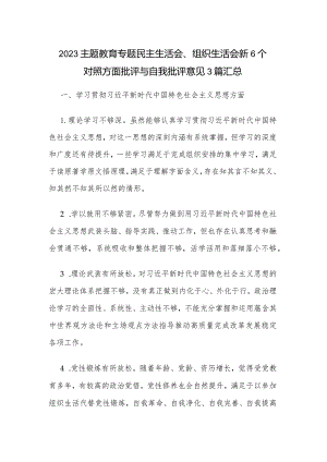 2023主题教育专题民主生活会、组织生活会新6个对照方面批评与自我批评意见3篇汇总.docx