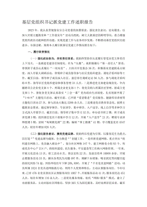基层党组织书记抓党建工作述职报告.docx