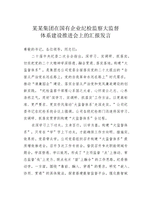 某某集团在国有企业纪检监察大监督体系建设推进会上的汇报发言.docx