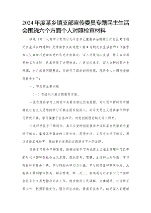2024年度某乡镇支部宣传委员专题民主生活会围绕六个方面个人对照检查材料.docx