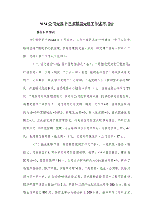 2024公司党委书记抓基层党建工作述职报1.docx