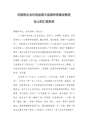在国有企业纪检监察大监督体系建设推进会上的汇报发言.docx