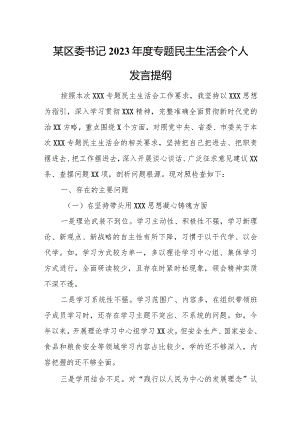 某区委书记2023年度专题民主生活会个人发言提纲.docx