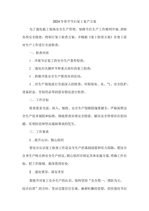 尾矿库2024年春节节后复工复产专项方案 汇编5份.docx