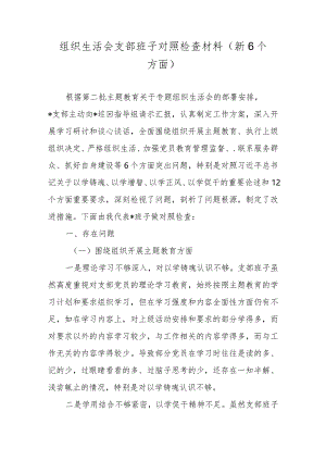 2024组织生活会支部班子对照检查材料（围绕组织开展主题教育、执行上级组织决定等方面）.docx