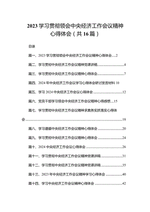 学习贯彻领会中央经济工作会议精神心得体会16篇供参考.docx