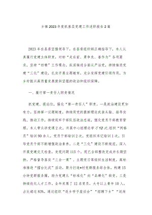 乡镇2023年度抓基层党建工作述职报告2篇.docx