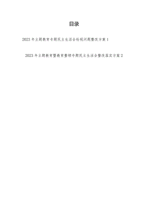 区政府党组2023-2024年度以学铸魂、以学增智、以学正风、以学促干专题民主生活会检视问题整改方案.docx