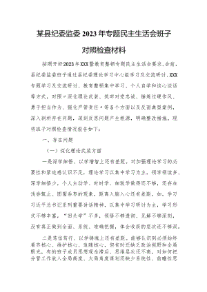 某县纪委监委2023年专题民主生活会班子对照检查材料.docx