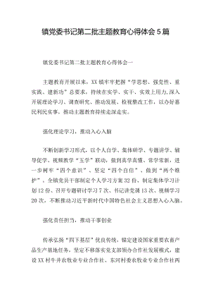 镇党委书记第二批主题教育心得体会5篇.docx