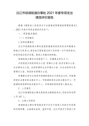 沅江市琼湖街道办事处2021年度专项支出绩效评价报告.docx