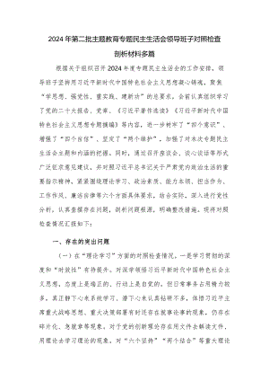 2024年第二批主题教育专题民主生活会领导班子对照检查剖析材料多篇.docx