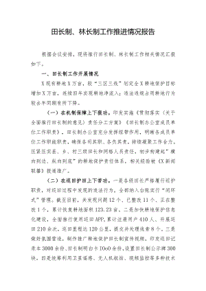 田长制、林长制工作推进情况报告.docx