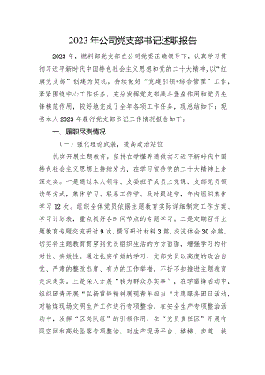 2023年公司党支部书记述职报告.docx