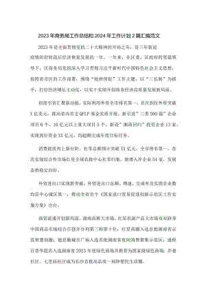 2023年商务局工作总结和2024年工作计划2篇汇编范文.docx