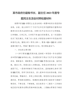 某市政府办副秘书长、副主任2023年度专题民主生活会对照检查材料1.docx