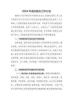 2024年减灾救灾工作计划.docx