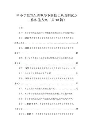 中小学校党组织领导下的校长负责制试点工作实施方案（共13篇）.docx