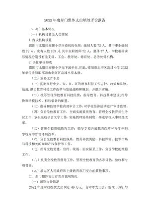 2022年度部门整体支出绩效评价报告.docx