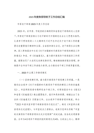 2023年度各领导班子工作总结汇编.docx
