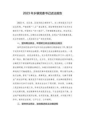 2023年乡镇党委书记述法报告.docx
