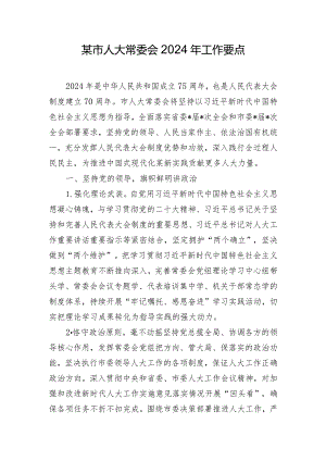 某市人大常委会2024年工作要点.docx