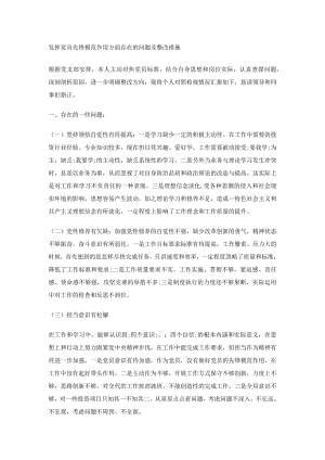 发挥党员先锋模范作用方面存在的问题及整改措施.docx