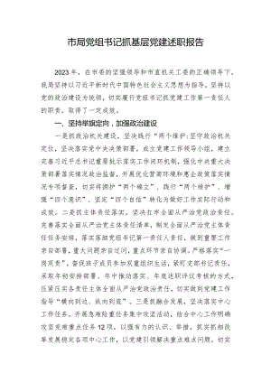 市局党组书记抓基层党建述职报告.docx