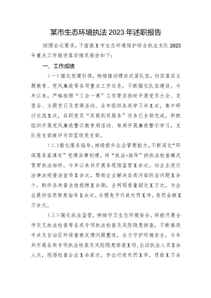 某市生态环境执法2023年述职报告.docx