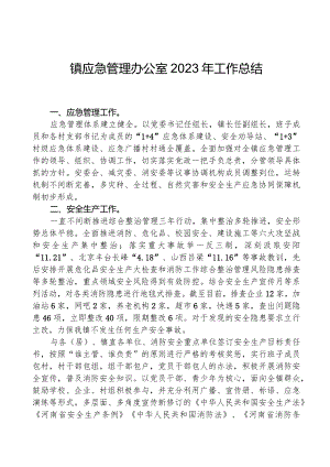 镇应急管理办公室2023年工作总结.docx
