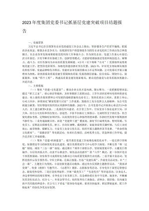 2023年度集团党委书记抓基层党建突破项目结题报告.docx